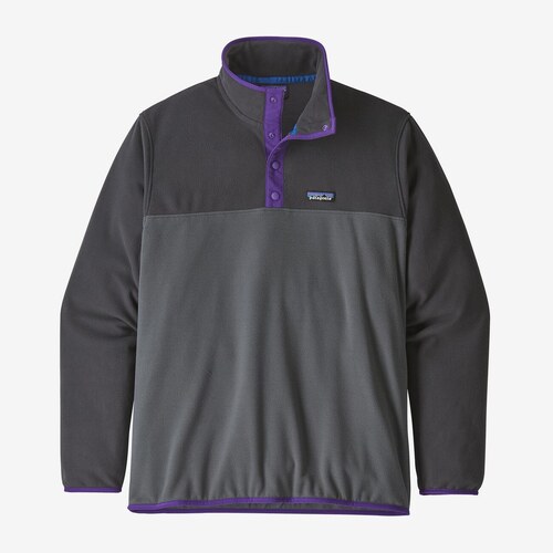 patagonia grey and purple pullover