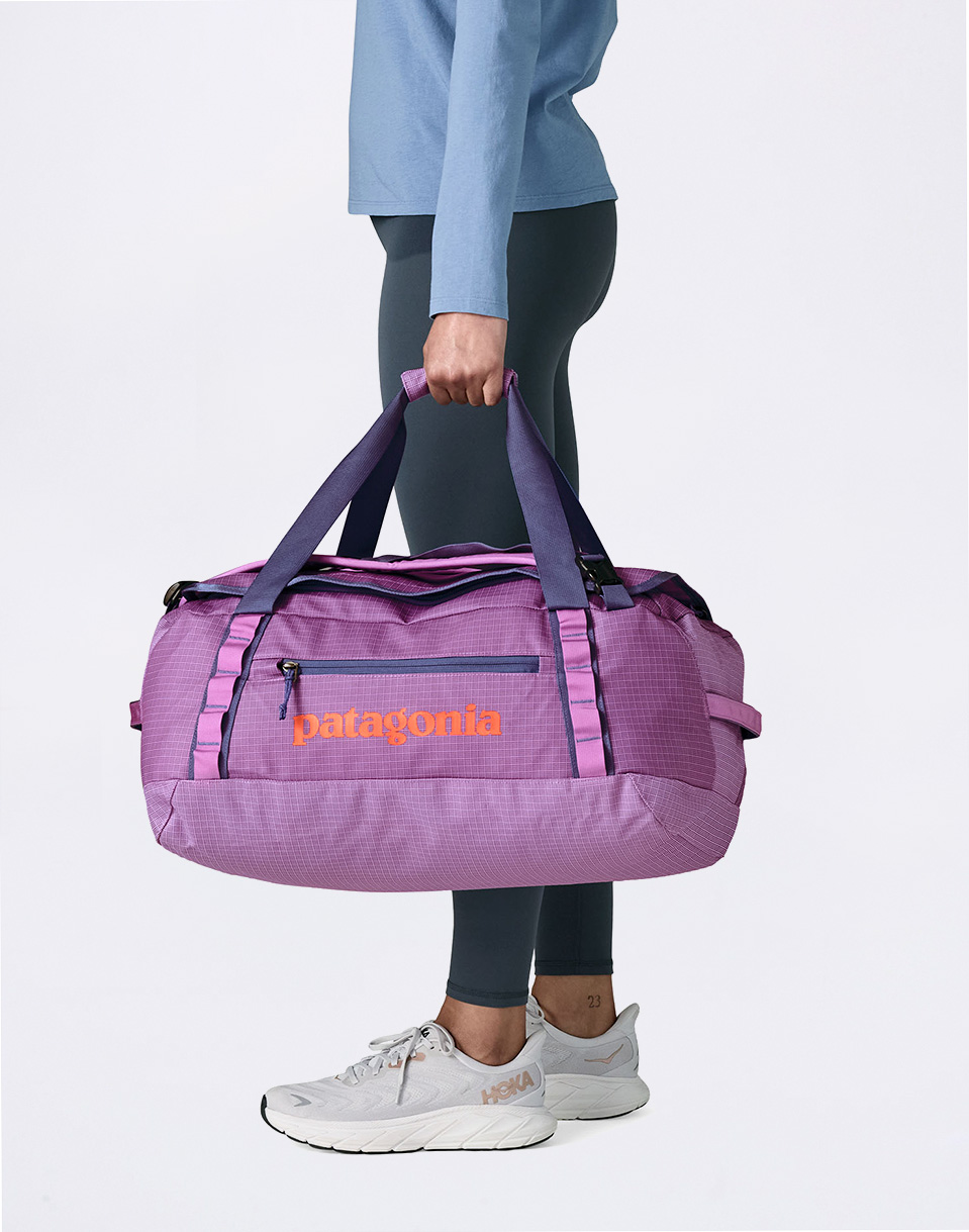 Patagonia Black Hole Duffel 40L Brisk Purple