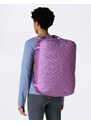 Patagonia Black Hole Duffel 40L Brisk Purple